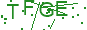 驗證碼 TFGE